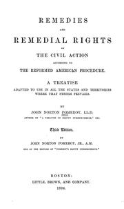 Cover of: Remedies and remedial rights by civil action according to the reformed American procedure: A treatise adapted to use in all the states and territories where the system prevails