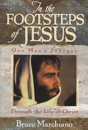 Cover of: In the footsteps of Jesus