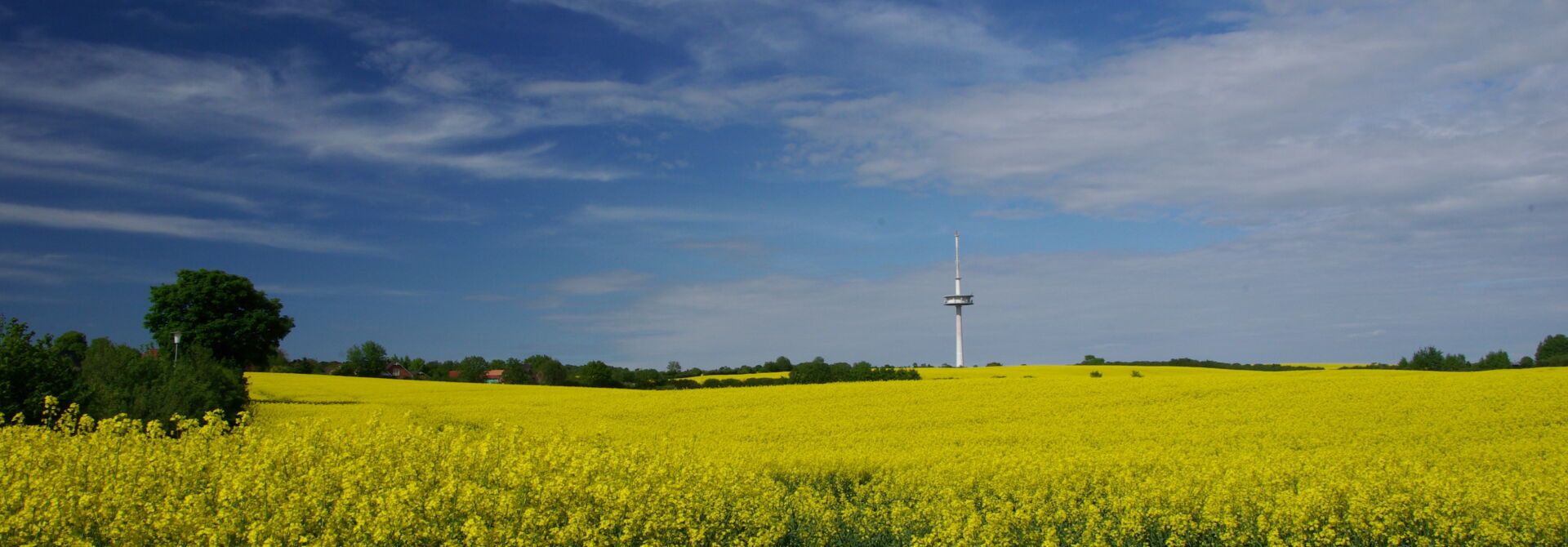 Bannerbild | zur Startseite