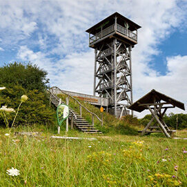 Aussichtsturm