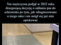 Ten mężczyzna podjął w 2022 roku druzgocącą decyzję o oddaniu psa do schroniska po tym, jak zdiagnozowano u niego raka i nie mógł się już nim opiekować Właśnie dowiedział się, że jest w remisji i natychmiast go ponownie adoptował –  