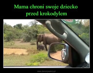 Mama chroni swoje dziecko  przed krokodylem –  