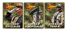 Acceso a Ejército profesional