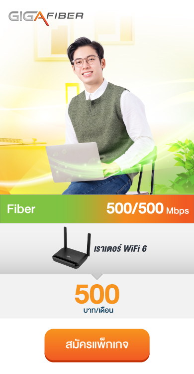 (N) Fiber 500/500 (GIGAFIBER)