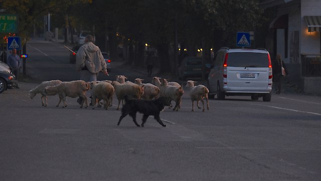 https://fotoforum.gazeta.pl/photo/2/cb/cb/dr06/1zWLz6kwT0q8Hb998B.jpg