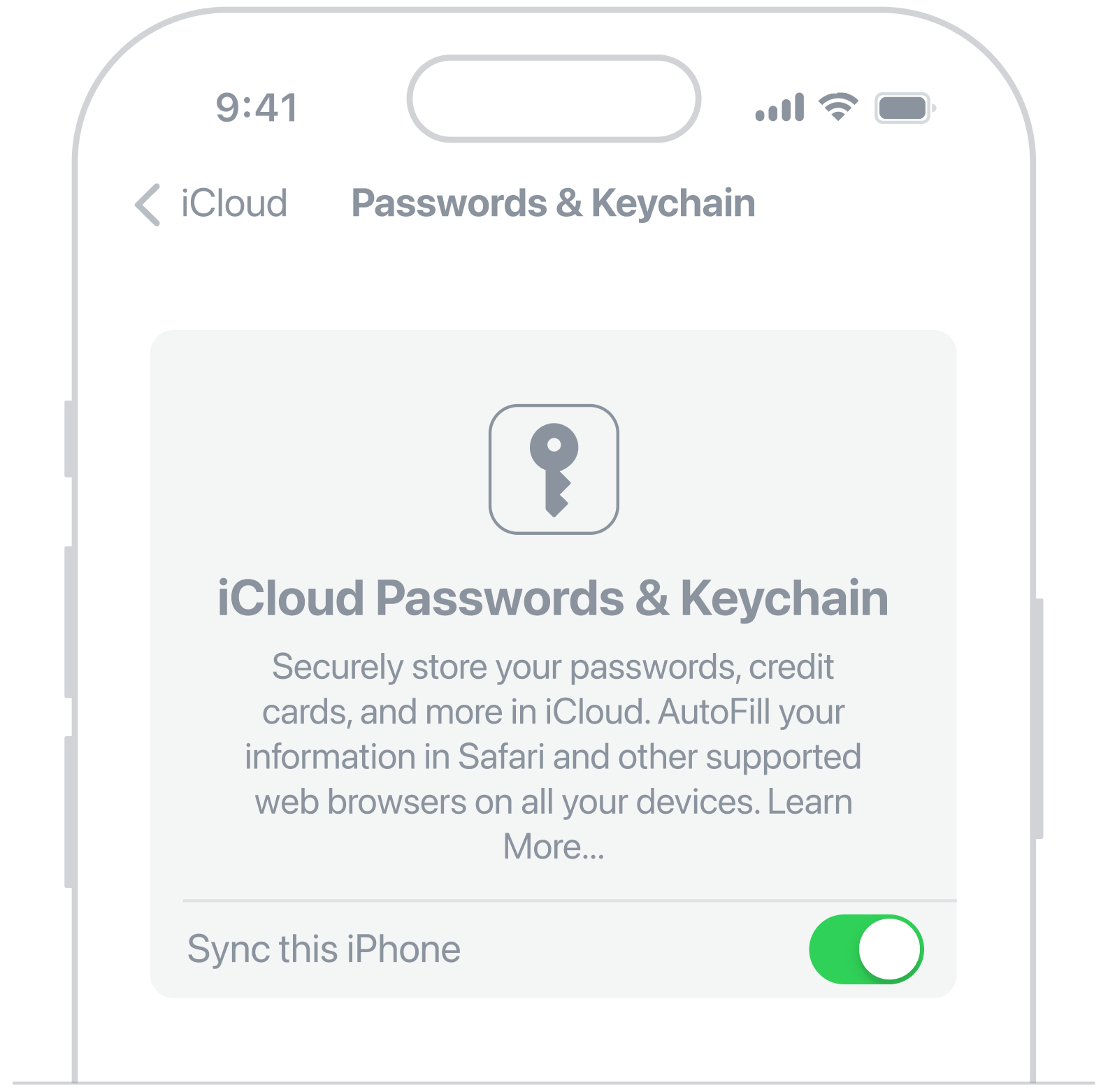 iCloud Passwords & keychain