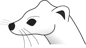 stoat logo