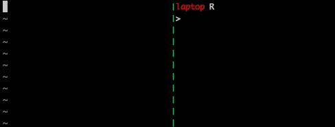 vim-slime session with R