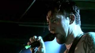 VOLBEAT - Devil Or The Blue Cat&#39;s Song (live in Berlin 2007)