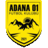 Adana 1954  Futbol Kulübü