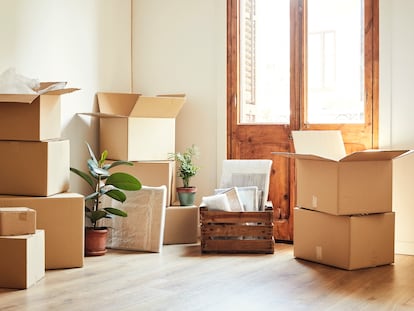 Cajas de cartón, cuadros y macetas con plantas en una habitación vacía tras una mudanza.