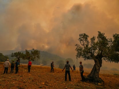 Incendios cerca de Atenas como consecuencia del calor extremo, en julio de 2023.