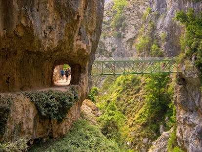 La ruta del Cares, en los Picos de Europa, es un destino prioritario para los amantes de la naturaleza y el senderismo.