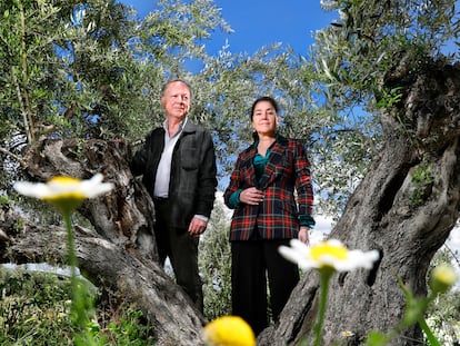 Francisco y Rosa Vañó, propietarios de Castillo de Canena, en el olivar que la familia tiene en Úbeda (Jaén)