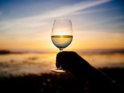 Silueta de una copa de vino frente al mar.