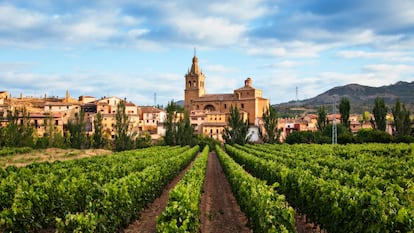 Viñedo y pueblo de Briñas en la comarca de Haro, en La Rioja.