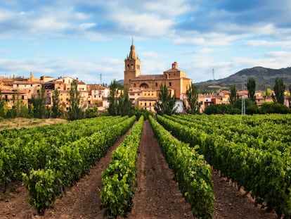 Viñedo y pueblo de Briñas en la comarca de Haro, en La Rioja.