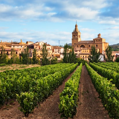 Viñedo y pueblo de Briñas en la comarca de Haro, en La Rioja.