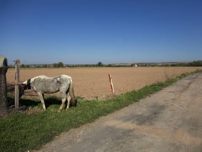 Terrenos donde se ubicar&iacute;a la urbanizaci&oacute;n.