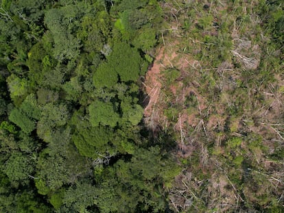 Parcela deforestada de la Amazonia, en Humaita (Brasil).