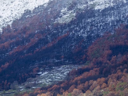 El cuarto mayor incendio de la historia de España, más de tres meses después