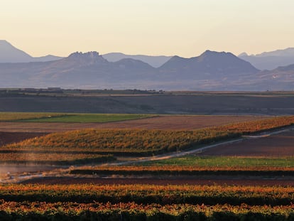 Toda la gama de colores del otoño se alinea en estos meses. En Valpierre, los viñedos se extienden hasta donde alcanza la vista.