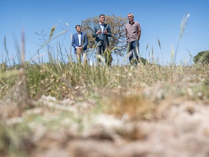 El presidente del Gobierno de España, Pedro Sánchez (centro) acompañado por el director de la Estación Biológica de Doñana, Eloy Revilla (derecha) y por el delegado del Gobierno en Andalucía, Pedro Fernández, este jueves durante su visita al parque nacional de Doñana.