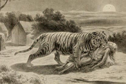 Ilustración de 912 de un tigre arrastrando a una víctima.