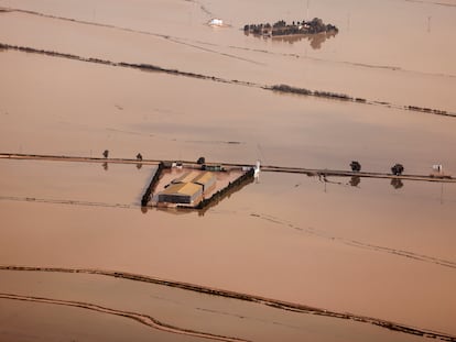 Una vista muestra los arrozales destruidos de la Albufera en una zona afectada por fuertes lluvias que provocaron inundaciones cerca de Valencia, España, el 31 de octubre de 2024.