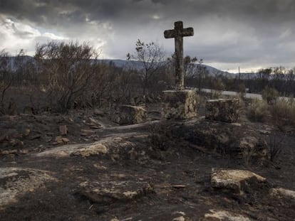 Terreno devastado tras el gran incendio de Cualedro (Ourense) en 2015.