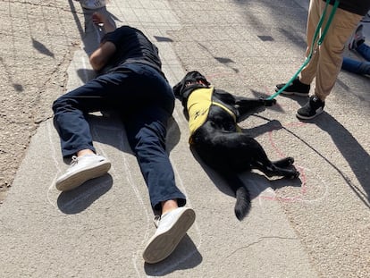 Acción reivindicativa este sábado 19 en El Retiro para pedir más medidas de seguridad frente a la circulación de vehículos.