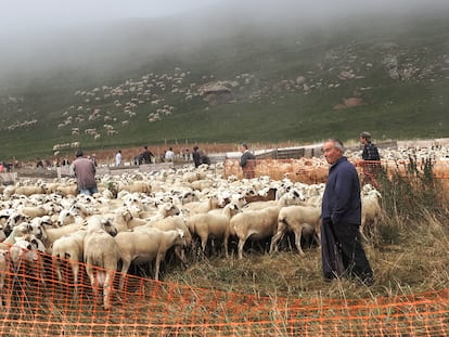 Pastores de Llessui (Pallars Sobirà, Lleida) con un rebaño de ovejas.