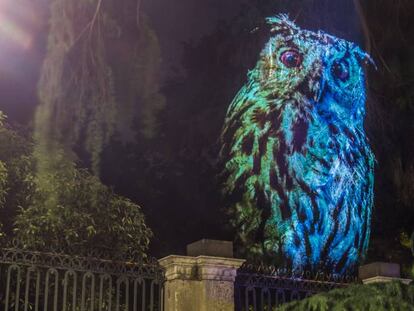 Proyecci&oacute;n en el Real Jard&iacute;n Bot&aacute;nico.