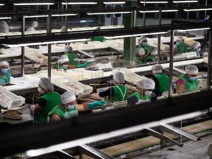 Trabajadoras de una conservera en Galicia.