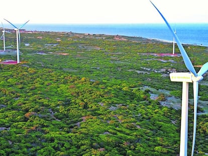 Generadores eólicos de Iberdrola en Río Grande del Norte (Brasil). 