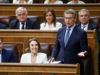 El líder del PP, Alberto Núñez Feijóo, durante su intervención en la sesión de control al Ejecutivo el 12 de junio en el Congreso.