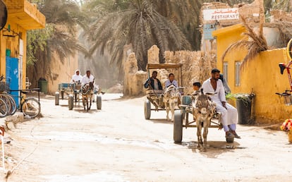 Carros tirados por burros en el oasis de Siwa, en una foto actual.