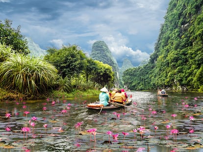 El río Ngo Dong, en la provincia vietnamita de Ninh Binh, discurre entre escenográficas montañas.