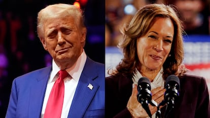 El candidato republicado a la presidencia de Estados Unidos, Donald Trump, y la vicepresidente y candidata republicana, Kamala Harris, en mitines electorales, octubre de 2024.