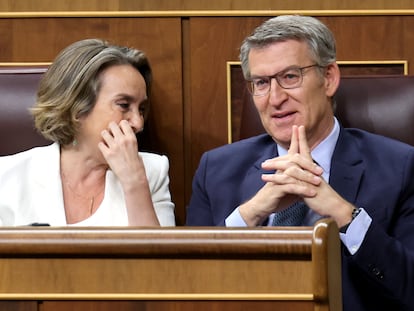 Cuca Gamarra y Alberto Núñez Feijóo en el Congreso de los Diputados.