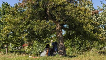 Una mujer atiende a su bebé en el parque de la Ciutadella de Barcelona, en mayo de 2020.