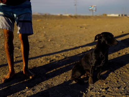 Sasha en la frontera con Estados Unidos, el 28 de diciembre de 2023.