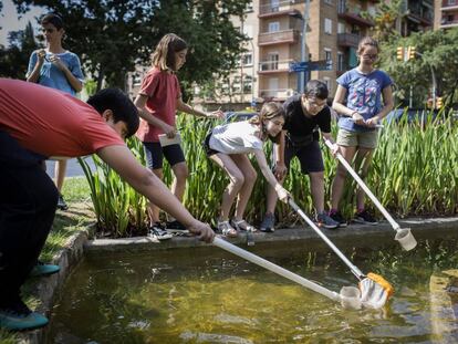 Alumnes de l'IES l'Alzina durant l'activitat de caça de larves de mosquit.