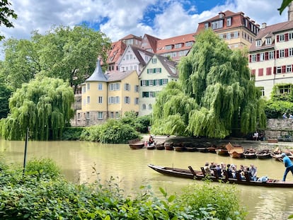 Un paseo en barca por el río Neckar, en Tubinga (Alemania).