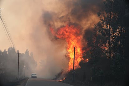 Las llamas se elevan junto a la carretera nacional EN-16 entre las localidades portuguesas de Freixiosa y Mangualde,  este martes. 
