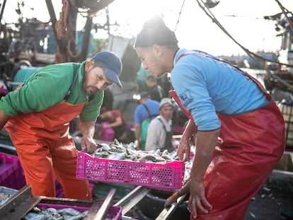 Pescadores transportan sus capturas tras atracar en el puerto principal de la ciudad de Dajla, en el Sáhara Occidental, en diciembre de 2020.