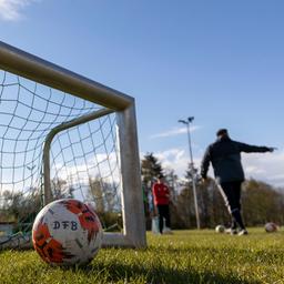 Ball mit derAufschrift "DFB" liegt in einem Minitor