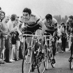 Eddy Merckx 1975