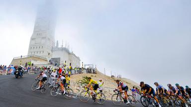 Das Peloton auf dem Mont Ventoux