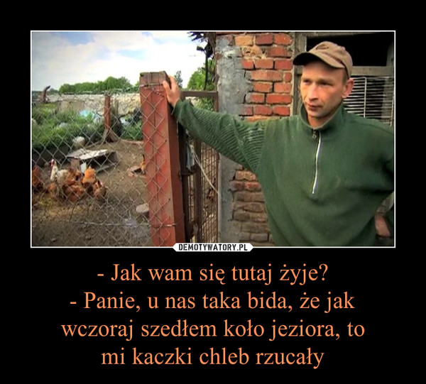 - Jak wam się tutaj żyje?- Panie, u nas taka bida, że jak wczoraj szedłem koło jeziora, to mi kaczki chleb rzucały –  